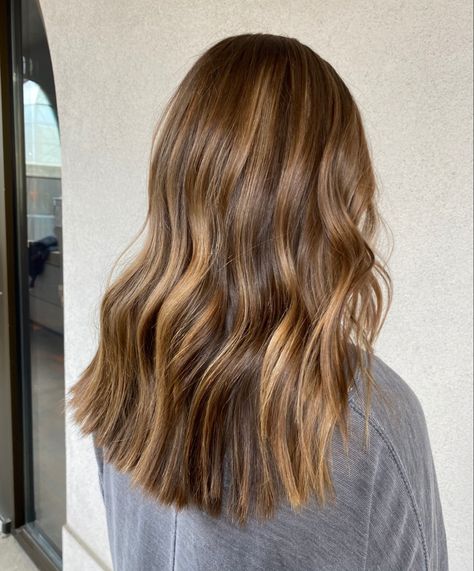 Medium Length Honey Brown Hair, Honey Brown Hair Ombre, Caramel Balayage Light Brown Hair, Light Brown Golden Hair, Light Brown Hair Warm Tone, Caramel Balayage On Light Brown Hair, Mid Length Light Brown Hair, Warm Light Brown Balayage, Honey Highlights On Light Brown Hair