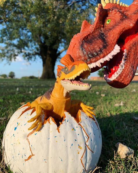 Dino Pumpkin, Jurassic Park Party, Halloween Dinosaur, Park Party, Pumpkin Designs, Pumpkin Carvings, Carved Pumpkin, Halloween Decorations Diy Outdoor, Gourds Crafts