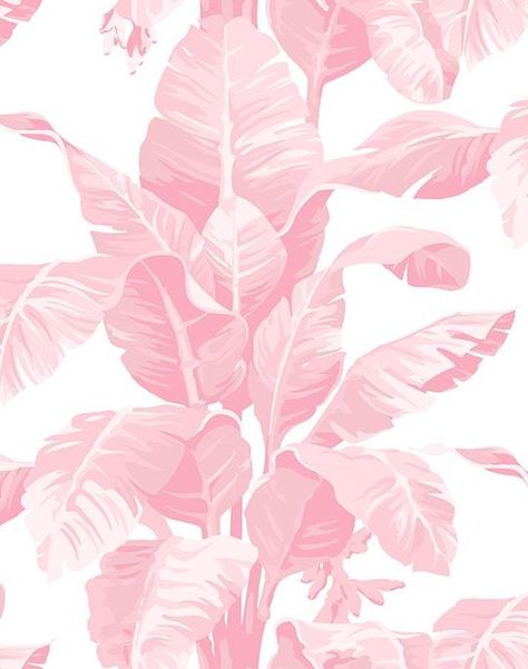 Pink Banana Leaf Wallpaper, Martinique Wallpaper, Pink Wallpapers, Palm Leaf Wallpaper, Banana Leaf Print, Palm Wallpaper, Classic Wallpaper, Fun Wallpaper, Tropical Wallpaper