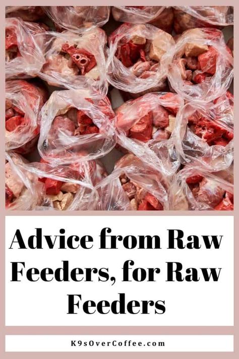 5 Established Raw Feeders Offer Advice for Beginners - K9sOverCoffee German Shepherd Raw Food Diet, Raw Food Diet For Dogs Beginner, Dog Raw Food Diet For Beginners, Raw Diet For Dogs, Fresh Food Diet, Dog Raw Diet, Dog Homemade, Raw Feeding For Dogs, Home Cooked Dog Food