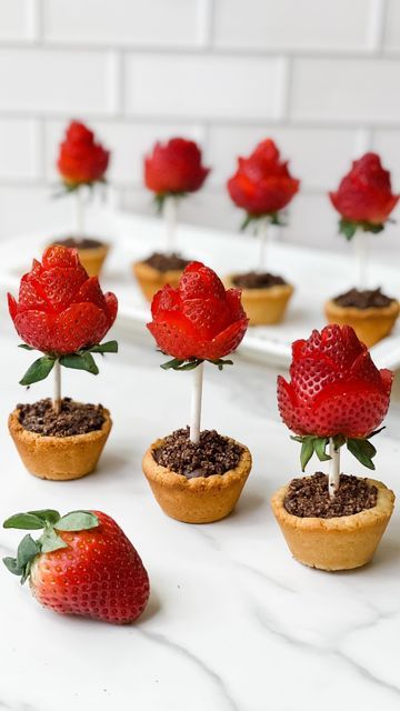 Stephanie Niemis on Instagram: "🌹Flower Pot Sugar Cookies → A strawberry rose in a sugar cookie flower pot filled with dirt made of chocolate mousse and cookie crumbs.🌹 ⭐️ Follow for more simple, healthier, fun recipes ⭐️ My kids were pretty obsessed with these, and I was thinking they would be a fun Mother’s Day dessert! The strawberry roses look fancy, but they’re actually super easy to make. So many of the ingredients I used came from @‌ifiprovisions. If you’ve been following me for awhile, you know I love this company! Feel free to use my code HEALTHYHOLME to save 15% site-wide! ✨ Flower Pot Sugar Cookies ✨ (makes 12) Sugar Cookie Ingredients: - 2 cups @‌ifiprovisions White Almond Flour - 2 tbsp honey - 2 tbsp coconut oil, melted - 1 tsp @‌ifiprovisions Pure Madagascar Vanilla Extr Flower Desserts, Mothers Day Desserts, Pot Cookies, Strawberry Rose, Strawberry Roses, Tea Party Food, Gourmet Desserts, Pretty Dessert, Dessert Ingredients