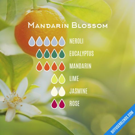 Cherry Blossom Essential Oil Blend, Essential Oils Sinus, Diy Perfumes, Diffuser Scents, Perfume Blends, Mandarin Essential Oil, Essential Oil Combinations, Organic Perfume, Aromatherapy Recipes