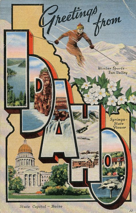 Greetings from Idaho - Large Letter Postcard Vintage Postcards Travel, Yearbook Themes, Home Decor Bohemian, Travel Postcard, Therapeutic Massage, Hippie Home Decor, Poster Design Inspiration, Travel Stickers, Vintage Hippie