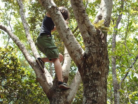 Person climbing tree Alex G Core Outfits, Summer Guy Aesthetic, Treehouse Alex G Aesthetic, Alex G Summer Aesthetic, Alex G Core, Will Byers Aesthetic, Alex G Summer, Alex G Aesthetic, Anna Marie Rogue