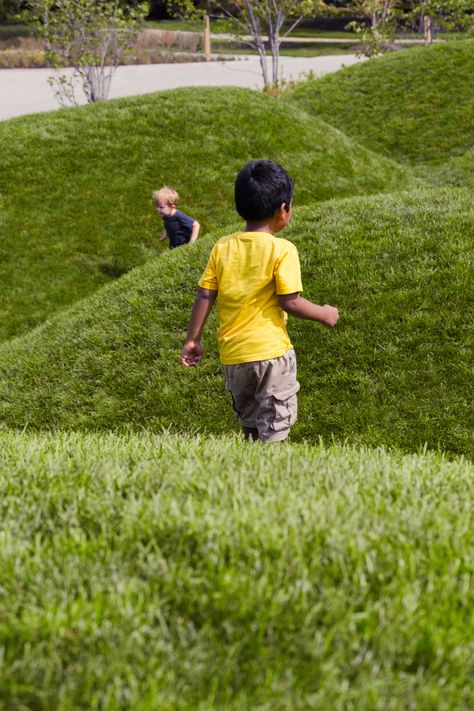 Regenstein Learning Campus « Landezine International Landscape Award LILA Simple Landscape Design, Campus Landscape, Garden Mall, In Ground Trampoline, Water Architecture, Plaza Design, Simple Landscape, Landscape Design Drawings, Landform