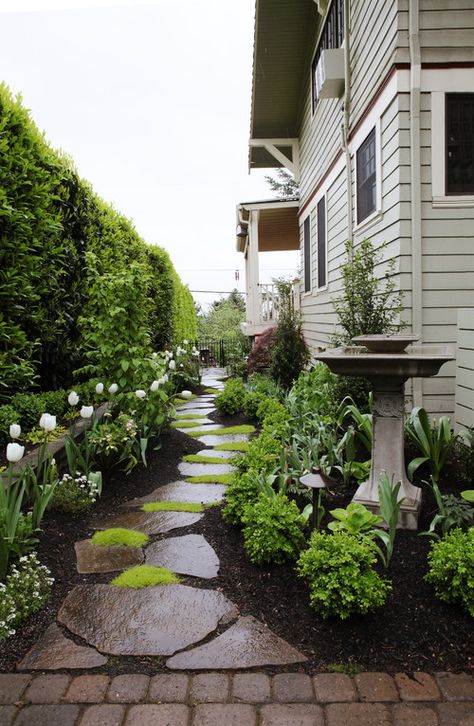 Landscaping Along Fence, Side Yard Landscaping, Pathway Landscaping, Ragdoll Kittens, Small Front Yard Landscaping, Front Yard Design, Flowers And Greenery, Walled Garden, Rock Garden Landscaping