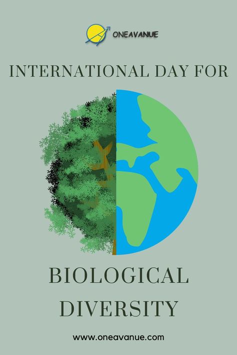 Happy International Day for Biological Diversity! Let’s inspire action to conserve biodiversity and restore ecosystems for a healthier and more sustainable future. #InternationalDayForBiologicalDiversity #InternationalDayForBiologicalDiversity2023 #BiologicalDiversity #Biodiversity #PreserveEnvironment Biodiversity Day, Biological Diversity, Sustainable Future, International Day, Logic, Sustainability