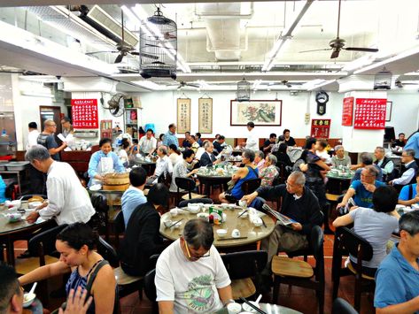 The 10 Most Delicious Dim Sum Restaurants in Hong Kong Dimsum Restaurant, Hong Kong Dim Sum, Vegetarian Dim Sum, Hongkong Restaurant, Hk Restaurant, Dim Sum Restaurant, Steamed Pork Buns, Lounge Interior, Turnip Cake