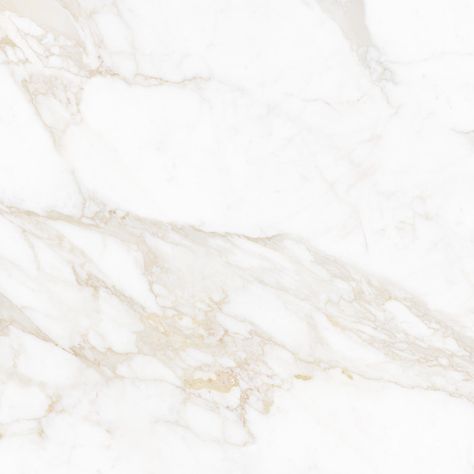 Quartzite Countertops Kitchen, Montgomery Homes, Calacatta Oro, Master Bath Shower, Tile Store, Quartz Kitchen Countertops, Marble Tile Floor, Stone Kitchen, Porcelain Mosaic Tile