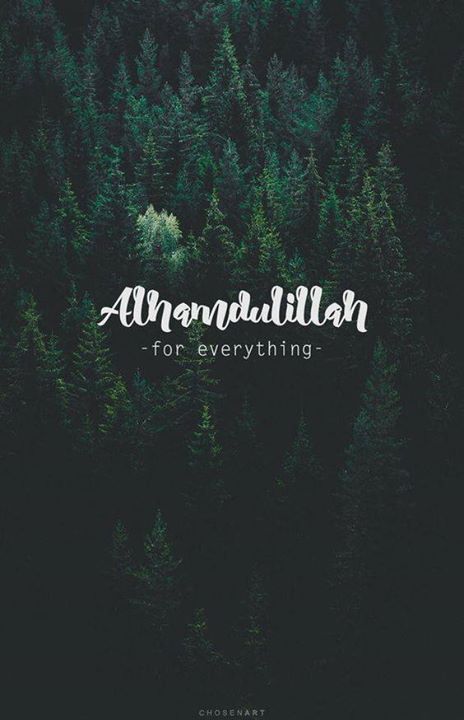 https://ift.tt/2eBSB9v #islam #spirituality #quran #hadith #quotes #religion Alhamdulillah, The Words, Trees, Iphone, Quotes, Green, White