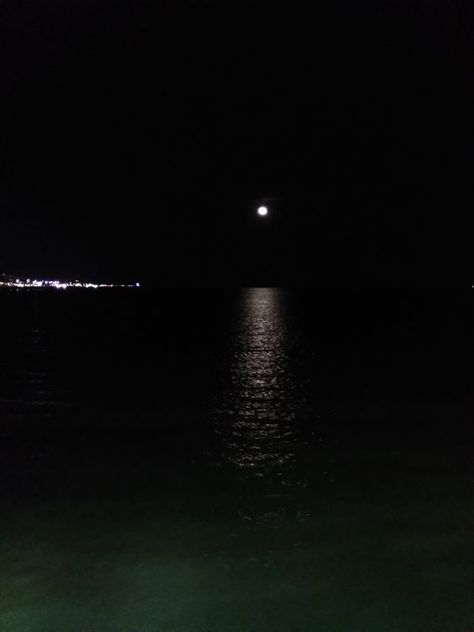 Fishing Pier, Galveston Tx, Night Fishing, Pier Fishing, Gulf Of Mexico, Galveston, Fishing, Texas, Fish