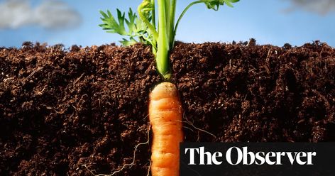 Ground rules: how to keep your soil happy and healthy. #garden #gardens #gardening #gardeningtips Growing Carrots, Healthy Garden, Vintage Poster Art, Composting, Organic Matter, Happy And Healthy, Plant Growth, Old Man, The Foundation