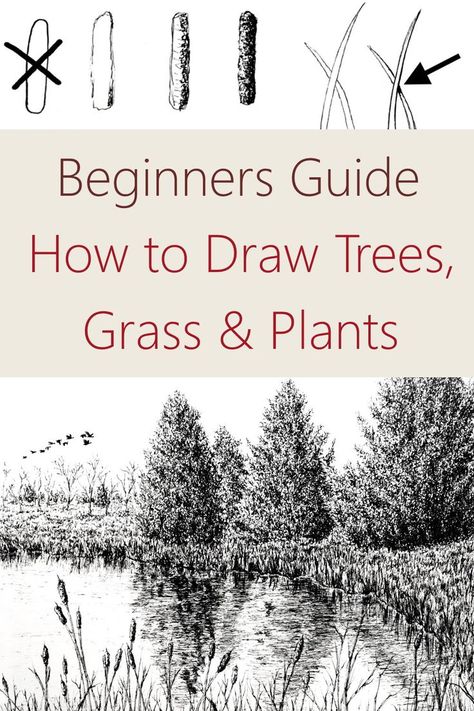 How to draw trees Tree Pen Sketch Simple, Grass Landscape Drawing, Backgrounds To Add To Drawings, Sketching Trees For Beginners, How To Sketch Plants, Drawing Foliage Tutorial, Beginner Landscape Drawing, Learn To Draw Landscape, Drawing Bushes Shrubs