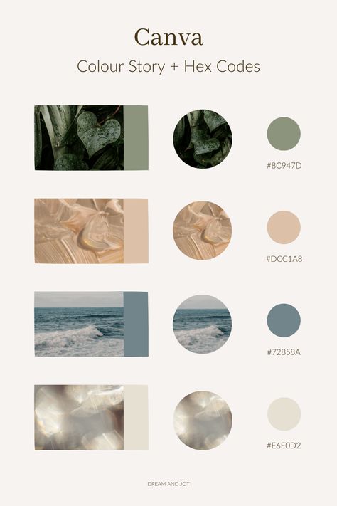 4 separate photos with their corresponding colour codes beside them but laid out in an aesthetically pleasing layout. photos are of leaves, water Modern Nature Color Palette, Clean Color Schemes, Neutral Natural Color Palette, Brand Color Palette Earth Tones, Luxury Earthy Color Palette, House Decor Neutral Colors, Canva Colors Code, High End Brand Color Palette, Luxury Boho Branding