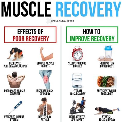 Muscle Recovery by @trainwithcarsen x @deskboundtherapy⁣ ⁣ 💥Download FREE Workouts by following the link in BIO💥⁣ ⁣ Hitting the weights is… Recovery Workout, After Workout, The Other Half, Muscle Building, Gym Workout For Beginners, Muscle Recovery, Gym Workout Tips, Other Half, Muscle Growth