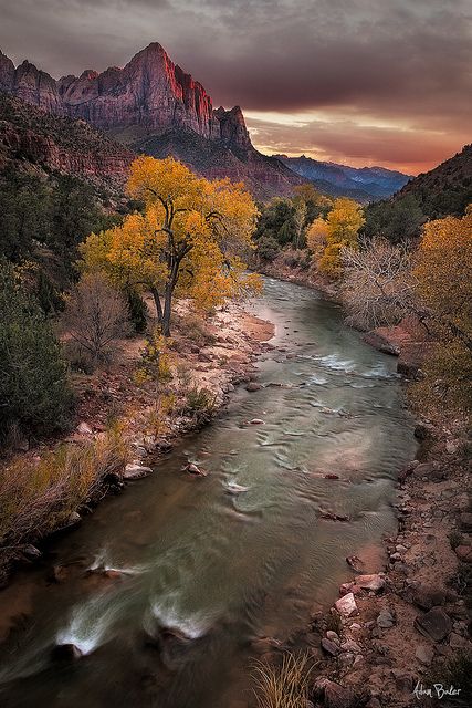 The Watchman, Zion National Park Bookshelf Diy, Zion National Park Utah, Have Inspiration, Utah National Parks, 수채화 그림, Zion National Park, Places Around The World, Driveway, 그림 그리기