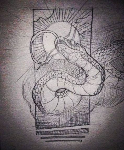 Snake Line Drawing, Drawing Snake, Snake Sketch, Serpent Tattoo, Snake Drawing, Snake Art, Tattoo Illustration, Japanese Tattoo Art, Animal Sketches