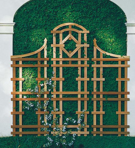 Just One More Trellis - Diana Elizabeth Cedar Trellis, Patio Trellis, Arbors Trellis, Cedar Garden, Wooden Trellis, Garden Activities, Garden Arbor, Backyard Garden Design, Garden Trellis