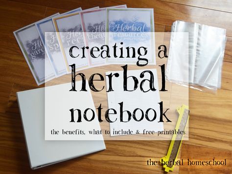 Medicine Recipes, Learning Herbs, Medicine Garden, Herbal Education, Herbal Remedies Recipes, Pineapple Sage, Herbal Recipes, Herbal Apothecary, Mid Summer