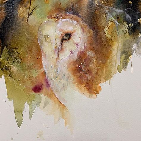 Jean Haines Watercolors (@jeanhaines) • Instagram photos and videos Jean Haines, Watercolour Birds, Owl Watercolor, Bird Pictures, Watercolor Inspiration, Watercolor Bird, Watercolor Animals, Love Painting, Work In Progress