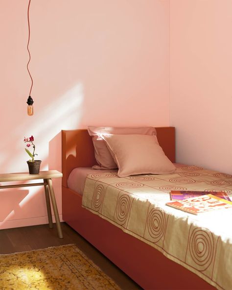 Post Image Colour Trends 2024, Coral Paint Colors, Blue Nova, Soothing Bedroom, Trending Paint Colors, Exterior Stain, Colour Trends, Touch Of Gray, Benjamin Moore Colors