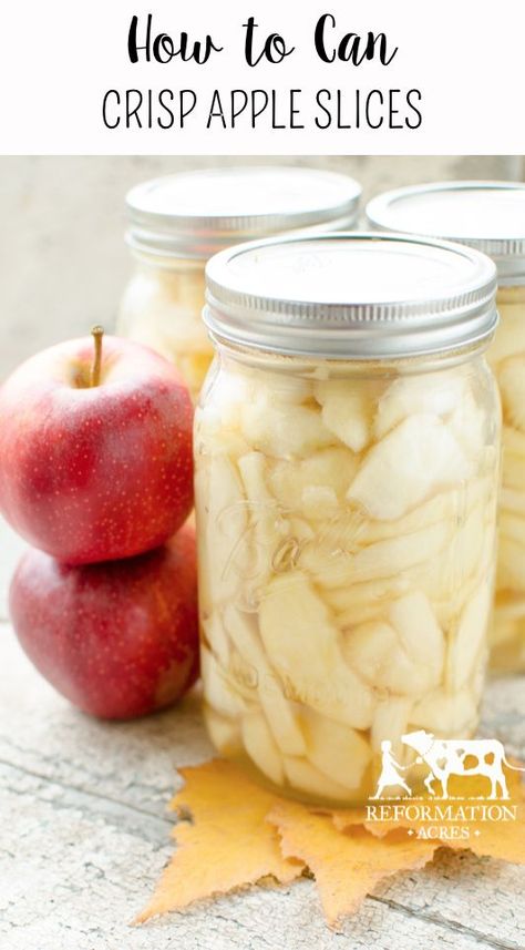 How to Can Apple Slices | Crispy & Sweet - Reformation Acres | Recipe | Canning recipes, Canned apples, Canning apples Canning Guide, Canning Apples, Canning Fruit, Home Canning Recipes, Canning Food Preservation, Canned Food Storage, Canning Tips, Canned Apples, Crisp Apple