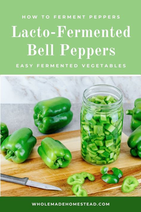 Incredibly easy to make and excellent for your gut health, these fermented bell peppers make a wonderful addition to pizzas, tacos and salads. Learn how to make this probiotic-rich food using just a handful of peppers and a simple salt water brine. Fermented Bell Peppers, Bell Pepper Sauce Recipe, Canning Bell Peppers, Gut Healthy Recipes, Fermented Food Recipes, Salt Brine, Fermenting Weights, Sour Pickles, Rich Food