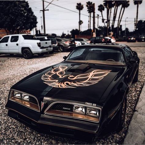 | ‘78 Firebird |#musclecarspictures #v8 #classiccar #car #photography #musclecar #classic #protouring #carporn #restomod #1978 #pontiac #firebird #transam #cali... 1978 Pontiac Firebird, 1978 Pontiac Trans Am, 1979 Pontiac Trans Am, Cars Pics, Hot Rods Cars Muscle, Smokey And The Bandit, Pontiac Cars, Pontiac Firebird Trans Am, Firebird Trans Am