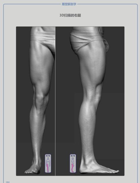 Leg Study, Anatomy For Sculptors, Zbrush Anatomy, Reference Male, Leg Anatomy, 남성 근육, Human Muscle Anatomy, Human Anatomy Reference, Human Anatomy For Artists