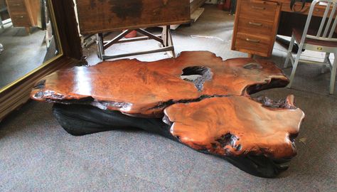 log furniture | Beautiful, Giant, Ancient, Swamp Log, Low Table For Sale | Antiques ... Tree Stump Coffee Table, Tree Trunk Coffee Table, Tree Coffee Table, Stump Coffee Table, Tree Stump Side Table, Burled Wood Coffee Table, Trunk Coffee Table, Coffee Table With Wheels, Wood Table Diy