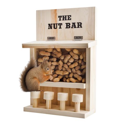 PRICES MAY VARY. FUNNY FEEDER: Cute bar stool “Nut Bar” outdoor squirrel feeder accessory VERTICAL STYLE: Can be mounted outside on a fence, wall, tree, etc. WOOD CONSTRUCTION: Large sturdy wood feeder with plastic cover over feeding chamber SIZE: 15 inches tall by 10 inches wide by 4.25 inches deep; CAPACITY: Approx. 3.5 cups of squirrel feed MULTI-USE: Great for feeding large birds also Esterno Squirrel Saloon Outdoor Feeder, Wooden Nut Bar Complete with Bar Stools    Squirrels don’t need picn Squirrel Feeder Diy, Squirrel Food, Squirrel Feeders, Gallon Glass Jars, Pet Food Storage Container, Squirrel Feeder, Nut Bar, Farm Store, Pet Food Storage