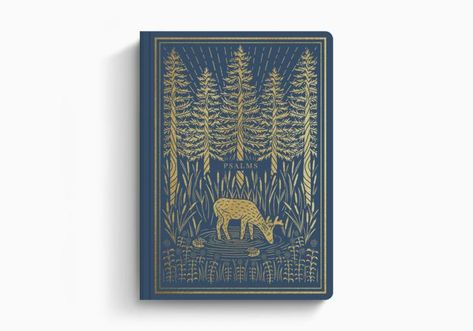 ESV Illuminated Scripture Journal®: Daniel | Crossway Small Group Bible Studies, Scripture Journal, Esv Bible, Bible Text, Book Of Psalms, Bible Study Group, Christian Resources, Sermon Series, Bible Translations