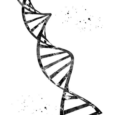 Helix Spiral Tattoo, Dna Structure Drawing, Double Helix Tattoo Dna, Triple Helix Dna, Dna Spiral, Double Helix Dna, Molecule Art, Dna Project, Dna Molecule