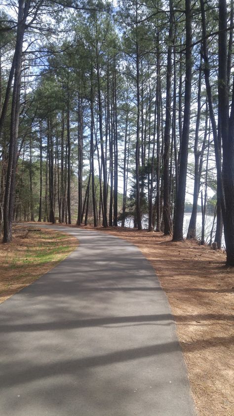 Lake Johnson Park Trail in Raleigh, NC: A paved loop around the lake and a series of natural wooded paths through woodlands. #trails #trail #nature #beautiful #LakeJohnson #lake #hike #hiking #Raleigh #outdoors #woodlands #photography #naturephotography Woodlands Photography, List Of Cities, Vision Board Images, Walking Trail, Lifestyle Board, Autumn Lake, Runners High, River Trail, Park Trails