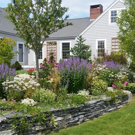 Farmhouse Cottage Landscaping, Farmhouse Exterior Flowers, Classic New England Landscaping, Front Yard Landscaping Northeast, Country Garden Front Yard, New England Native Landscaping, Fully Landscaped Front Yard, Traditional Farmhouse Landscaping, Old Farmhouse Landscape Ideas