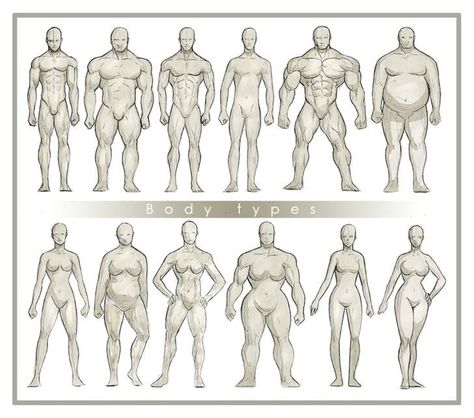 Reference Things, Body Type Drawing, Drawing Anatomy, Body Study, Human Anatomy Drawing, Human Anatomy Art, Body Reference Drawing, Anatomy Drawing, Figure Drawing Reference