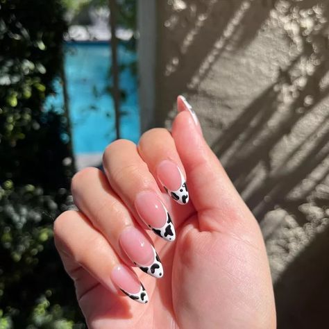 Cow Nail Designs, Cow Print Nail Art, Colored French Tip Nails, Lines Nails, Lilac Highlights, Hand Hearts, American Manicure, Cow Print Nails, Fun Manicure