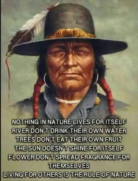 Native American Quotes Wisdom, Native American Facts, Native American Photography, Native Quotes, American Indian Quotes, American Proverbs, Native American Prayers, Native American Ancestry, Native American Proverb