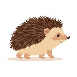 Hedgehog Vector, Hedgehog Cartoon, Hedgehog Clipart, Cartoon Hedgehog, Hedgehog Drawing, Hedgehog Illustration, Fox Squirrel, Kids Vector, Cute Hedgehog