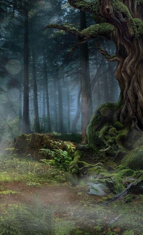 Wattpad Background, Dark Forest Aesthetic, Anime Places, Medieval Paintings, Episode Backgrounds, Forest Background, Female Art Painting, Visual Aesthetics, Forest Wallpaper