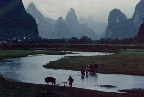 Bruno Barbey, Rice Paddies, Zell Am See, Guilin, Study Photography, Ecole Art, Photographer Portfolio, Scene Design, Jrr Tolkien