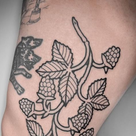 Mouse on Instagram: "Bramble, Berries // Blackberries, growing down the thigh 🐸🍓🌀Adapted from my flash to fit around an existed collection - I really enjoy tattooing flowers, fruit and florals! 🧙🏻‍♂️🏰🍄// For Appointments - Email or DM   I’m always keen to draw more pieces revolving around plants, especially when they’ve got an interesting shape like this one - Maybe I’ll do a sheet of plants and flowers soon? I’m excited to tattoo more plants this year 🐸🍄🌀" Blackberry Vine Tattoo, Bramble Tattoo, Blackberries Growing, Blackberry Tattoo, Hops Plant, Vine Tattoos, Plants And Flowers, Bramble, Blackberry