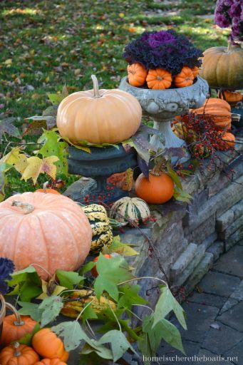 Bittersweet Vine, Forest Feast, Fall Harvest Decorations, Fall Container Gardens, Ornamental Kale, Fall Containers, Colors Of Fall, Hello September, Wildflower Garden