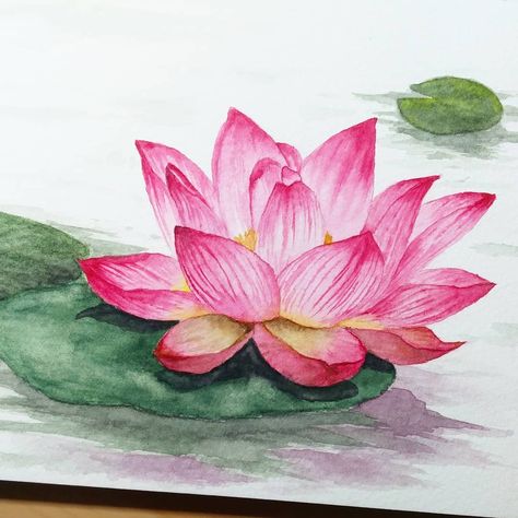 Since I started watercolour, I've been wanting to paint the lotus flower. It is such a simple beauty, but also complex with the veins… Lotus Flower Drawing, Lotus Drawing, The Lotus Flower, Watercolor Lotus, Lotus Flower Pictures, Watercolour Ideas, Lotus Painting, Saree Painting, Paint Night