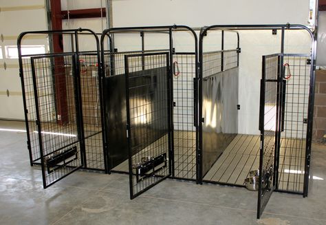 Shed Dog Kennel Ideas, Dog Room For Multiple Dogs, In Home Kennel Ideas, Inside Large Dog Kennel Ideas, Dog Kennel Set Up, Dog Boarding Room, Indoor Dog Run Ideas, Indoor Dog Kennels, Indoor Dog Run