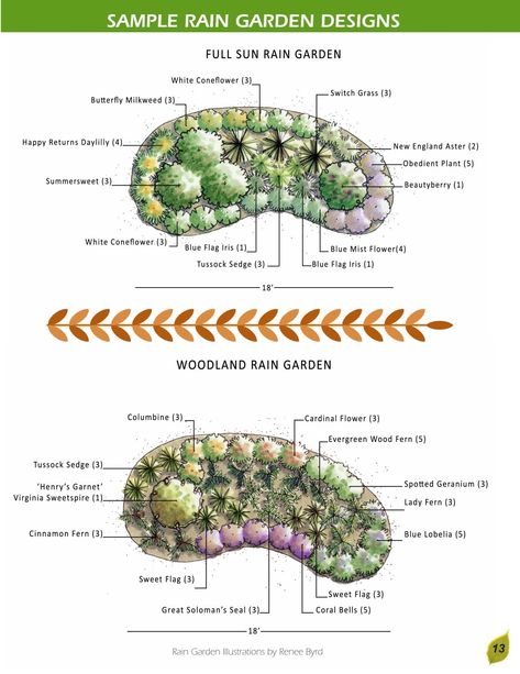 Shade Rain Garden, Rain Garden Plants Shade, Rain Garden Landscape, Rain Garden Design, Landscape Drainage, Rain Gardens, Bog Garden, Erosion Control, Garden Design Plans