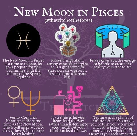 Pisces Witchcraft, New Moon Tarot Spread, Beginners Witchcraft, New Moon In Pisces Ritual, New Moon In Pisces 2024, Moon Pisces, Pisces New Moon, New Moon Tarot, New Moon In Pisces