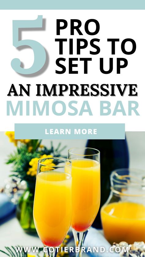 Wondering how to make a mimosa bar like a pro party stylist? Follow these four simple steps and you'll be well on your way to creating a beautiful set up. Mimosa Bar Ideas Birthday, Diy Mimosa, Mimosa Party, Fruit Garnish, Brunch Bar, Mimosa Recipe, Stemless Champagne Flutes, Couple Wedding Shower, Champagne Bar