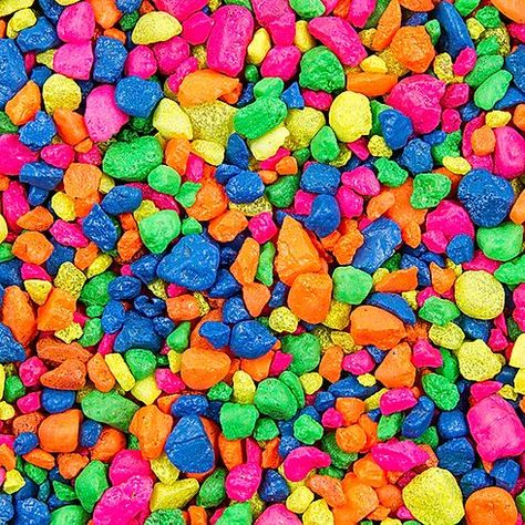 Kids Aquarium, Fish Tank Gravel, Chocolate Gold Coins, Marine Tank, Aquarium Gravel, Kidcore Aesthetic, Rainbow Aesthetic, Neon Rainbow, Freshwater Aquarium