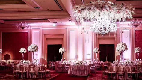 Pink Uplighting Wedding, Pink Uplighting, Uplighting Wedding, Drinks Reception, Ballroom Reception, Victoria Wedding, Grand Ballroom, Pink Color Schemes, Wedding Inside